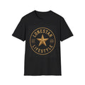 LLC - Gold Texas Star Logo